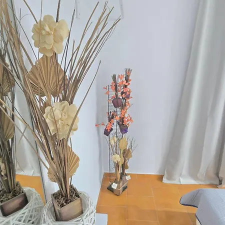 Apartmets4you Iii Kassiopi